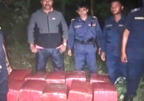 पर्सामा नहरको झाडीबाट ठूलो परिमाणमा गाँजा बरामद