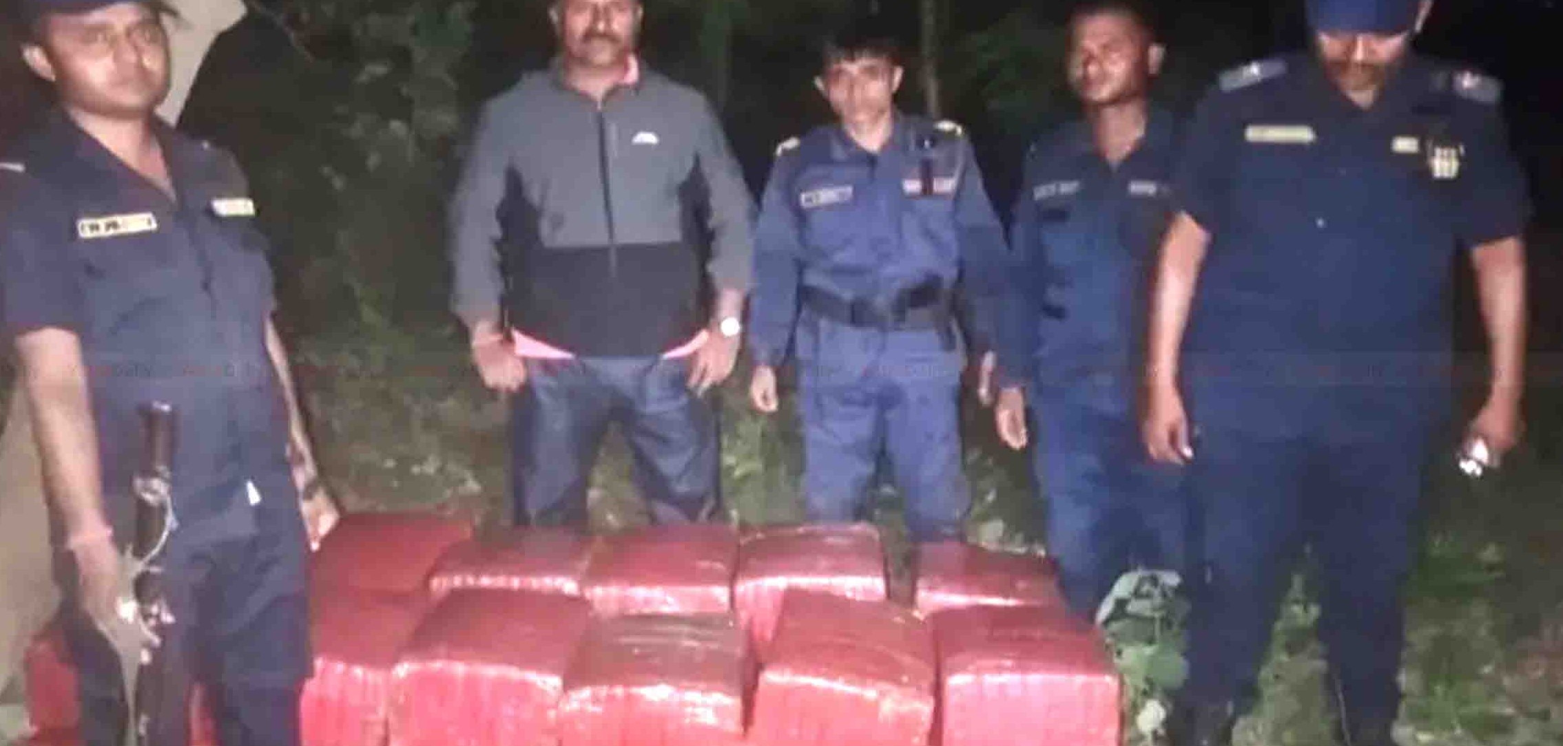 पर्सामा नहरको झाडीबाट ठूलो परिमाणमा गाँजा बरामद