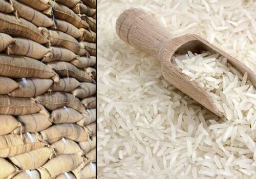 सरकारी खाद्य गोदाममा लापरबाही : मुसाले खाएको चामल नयाँ बोरामा प्याकिङ