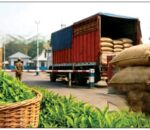 भारत–नेपाल व्यापार तनाव : केरा प्रतिबन्धपछि चियामा रोक