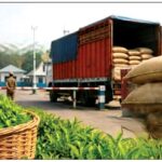 भारत–नेपाल व्यापार तनाव : केरा प्रतिबन्धपछि चियामा रोक