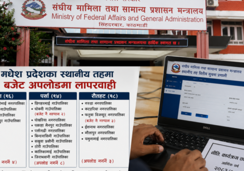 बजेट ल्याए, तर वेबसाइट अपडेट गरेनन् : बारा, पर्सा र रौतहटका दर्जनौं स्थानीय तह