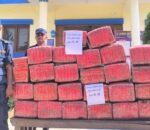 पर्सामा ३७० केजी गाँजा बरामद, संलग्नको खोजी तीव्र