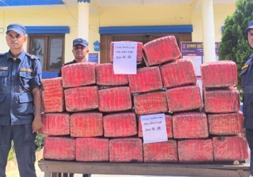 पर्सामा ३७० केजी गाँजा बरामद, संलग्नको खोजी तीव्र