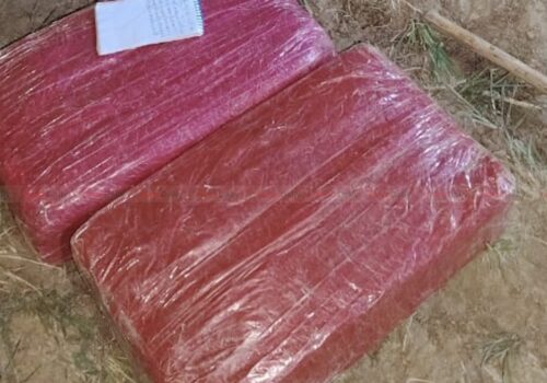 सशस्त्र प्रहरीको कारबाही : पर्साबाट ११ किलो गाँजासहित एक जना पक्राउ