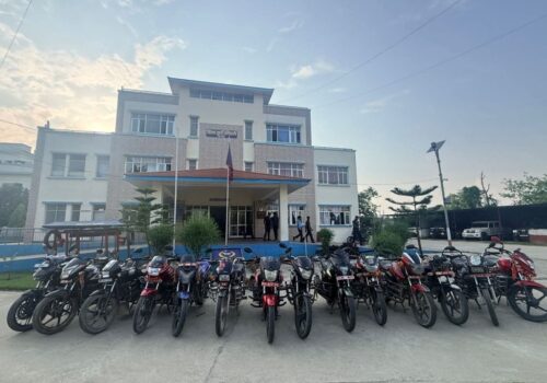 ग्याङ गतिविधिमा संलग्न २५ युवा २१ मोटरसाइकलसहित पक्राउ