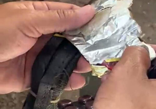 कैलालीबाट खैरो हेरोइन र धनुषाबाट गाँजासहित दुई/दुई जना पक्राउ