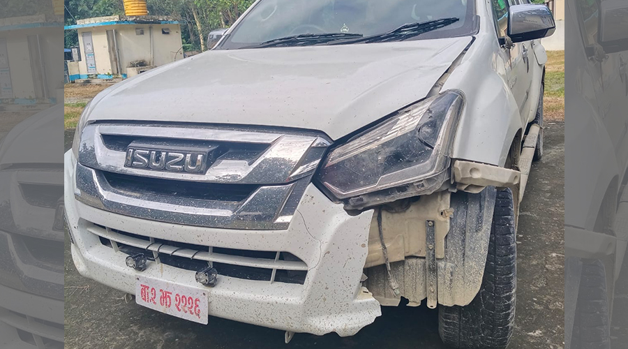 जंगलको ‘हिट एन्ड रन’ प्रकरण : संलग्न गाडी सरकारी भएको पुष्टि