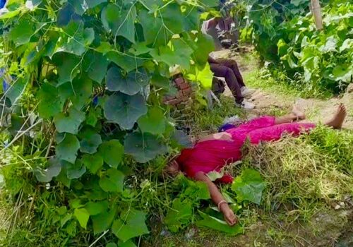 रौतहटमा धारिलो हतियार प्रहारबाट महिलाको हत्या, आरोपी फरार