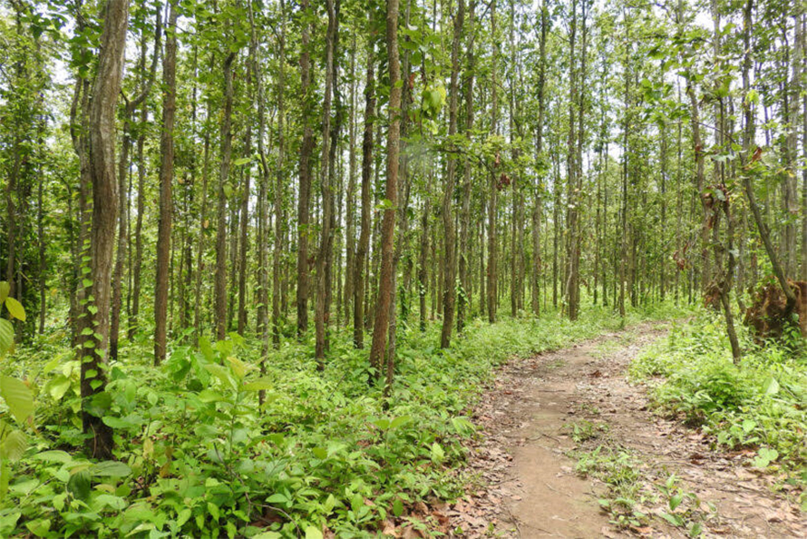 मानव–वन्यजन्तु द्वन्द्व रोक्न पूर्वसूचना प्रणाली सञ्चालनमा