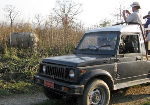 चितवन राष्ट्रिय निकुञ्जमा जङ्गल सफारी अस्थायी रूपमा बन्द