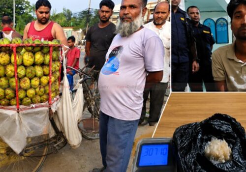 वीरगञ्जमा आँप बेच्ने बहानामा ब्राउन सुगर कारोबार गर्ने भारतीय नागरिक पक्राउ