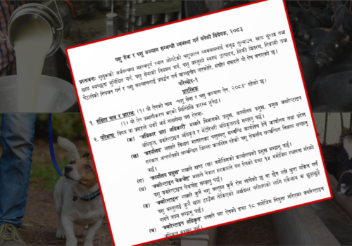 नयाँ पशु कल्याण विधेयकमाथि प्रश्न : उत्पादनमुखी, अधिकारमा कमजोर