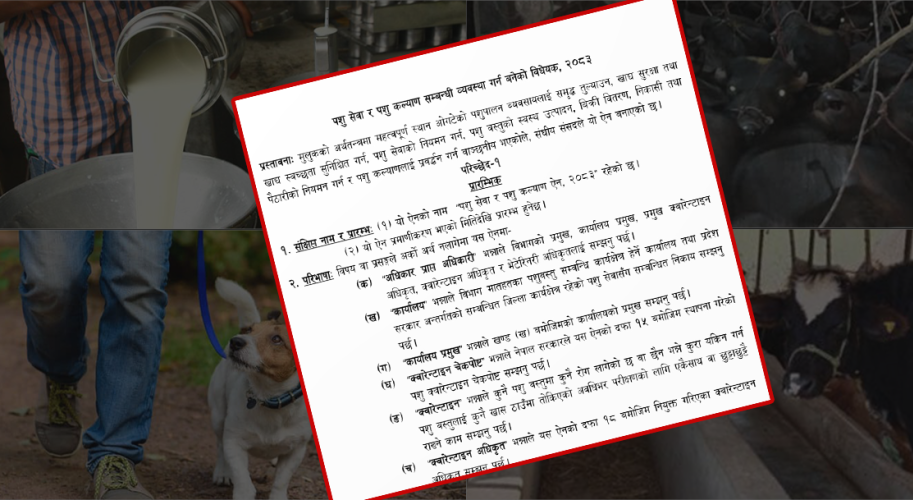 नयाँ पशु कल्याण विधेयकमाथि प्रश्न : उत्पादनमुखी, अधिकारमा कमजोर