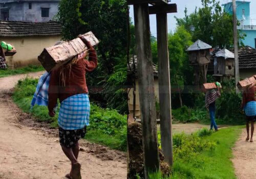 सखुवा प्रसौनीमा खुलेआम काठ ओसारपसार, वन र प्रहरी प्रशासनमाथि उठ्यो प्रश्न