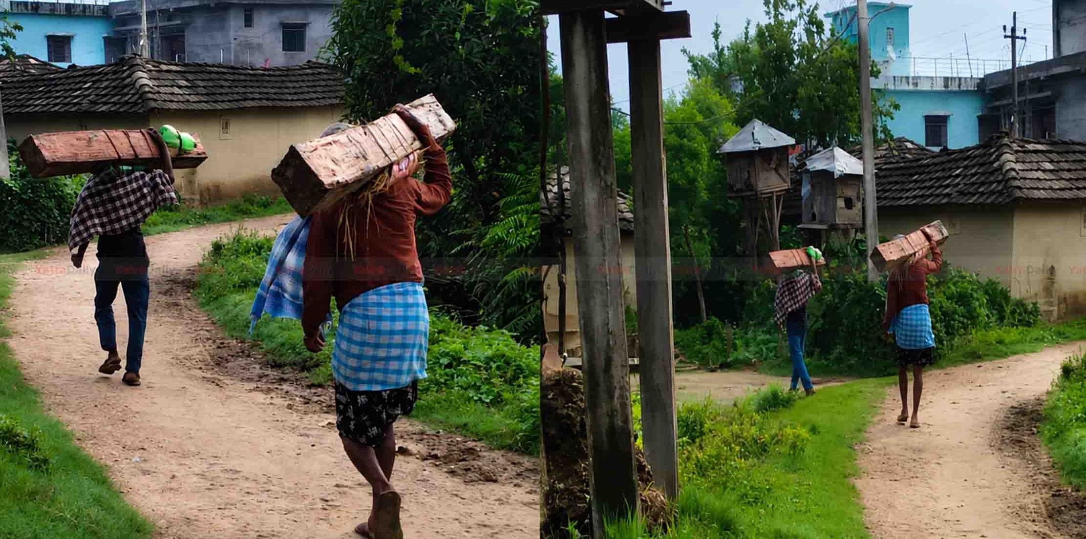 सखुवा प्रसौनीमा खुलेआम काठ ओसारपसार, वन र प्रहरी प्रशासनमाथि उठ्यो प्रश्न