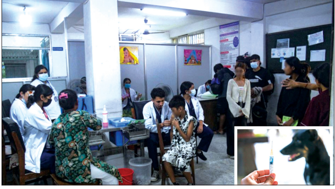 मधेशमा रेबिज खोप अभाव, सरकारी स्वास्थ्य संस्थामा नियमित आपूर्ति छैन