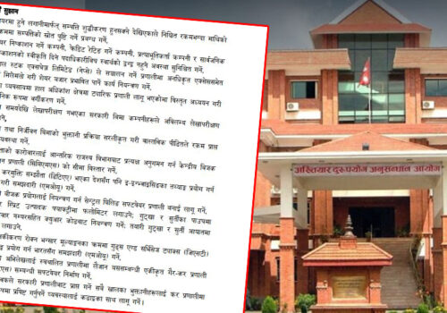 ठूलो रकमको सेयर लगानीमा सम्पत्तिको स्रोत पुष्टि गर्नुपर्ने कानुन बनाउन सुझाव