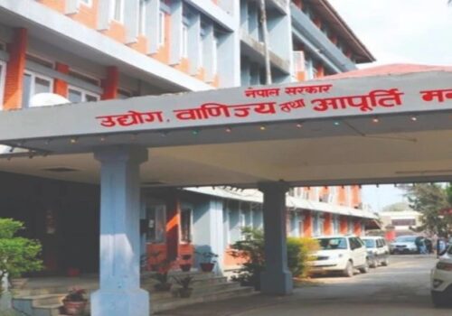 ग्यासमा कालोबजारी भए ९८५१११६७७३ मा खबर गर्न मन्त्रालयको आग्रह