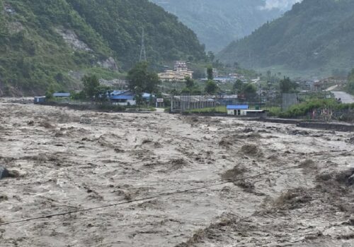 रसुवा बाढीमा मृत्यु हुनेको संख्या ११ सय नाघ्यो