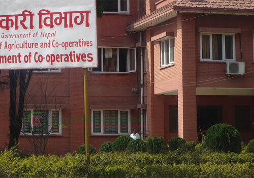 सहकारीको सन्दर्भ ब्याजदरमा ३ प्रतिशत बिन्दुको कटौती