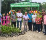 मितेरी पुलमा यात्रुको सुविधाका लागि चिसो पानी र विश्रामस्थल सञ्चालन
