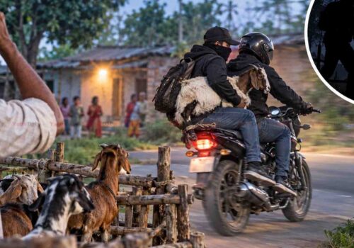मोटरसाइकलमा खसी राखेर फरार, पर्साका गाउँमा बाख्रा चोरको त्रास