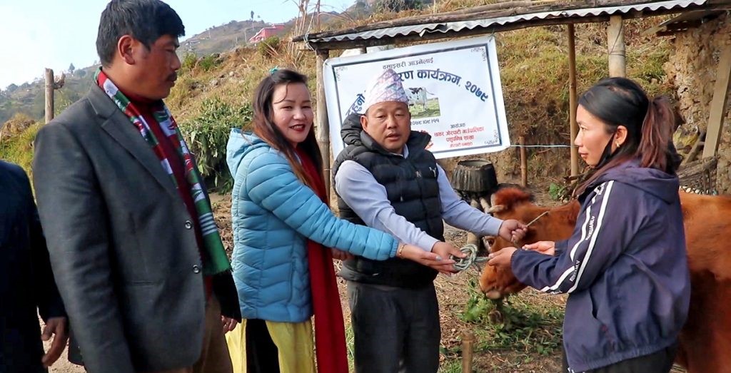 बसाइँसराइ रोक्न छथर जोरपाटीको नयाँ पहल : लैनो गाईपछि सुरक्षित आवास