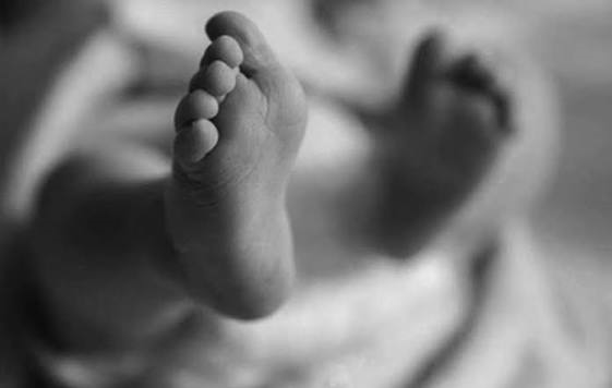 टिपरको ठक्करबाट धनुषामा बालिकाको मृत्यु