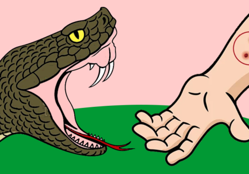 गर्मी र वर्षामा सर्पको आतंक, सावधानी अपनाउन आग्रह