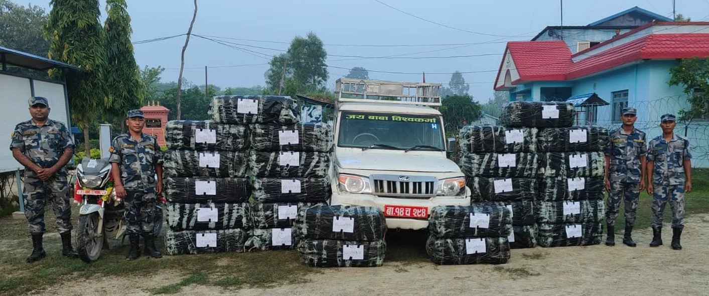 सशस्त्र प्रहरीको कारबाही : सिराहाबाट ११ सय किलो गाँजा बरामद