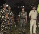 नेपाल भारत सीमा हुँदै गाईगोरुको तस्करी, १० वटा गाईगोरु नियन्त्रणमा