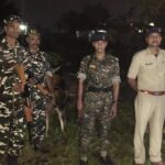 नेपाल भारत सीमा हुँदै गाईगोरुको तस्करी, १० वटा गाईगोरु नियन्त्रणमा