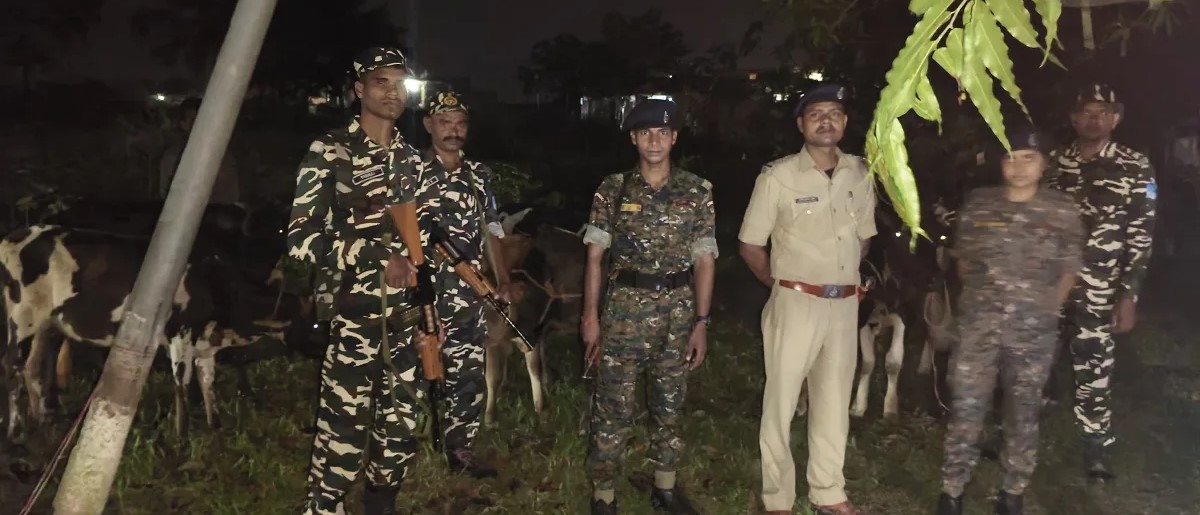 नेपाल भारत सीमा हुँदै गाईगोरुको तस्करी, १० वटा गाईगोरु नियन्त्रणमा