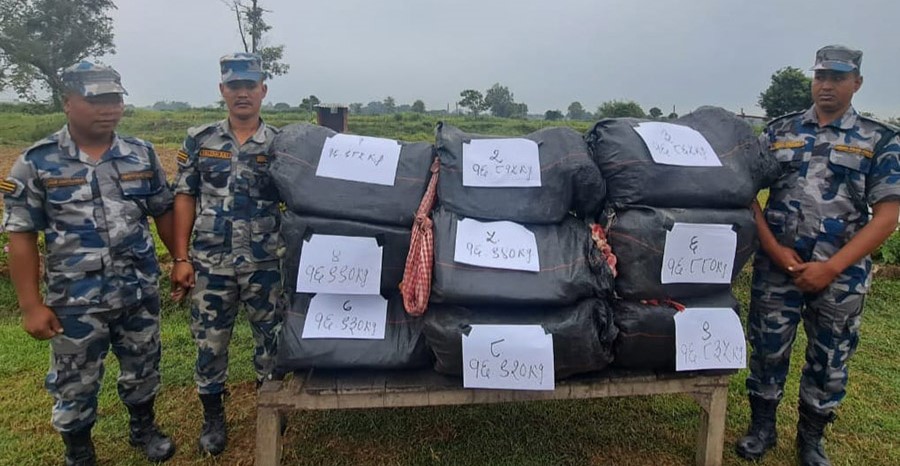 सिरहामा ठूलो परिमाणमा गाँजा बरामद, झाझपट्टीबाट १५२ किलो नियन्त्रणमा