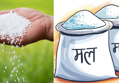 किसानलाई राहतको अपेक्षा : दसैँअघि वीरगञ्ज नाकाबाट थप मल आउने