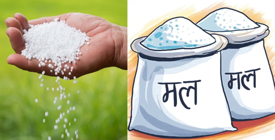 किसानलाई राहतको अपेक्षा : दसैँअघि वीरगञ्ज नाकाबाट थप मल आउने