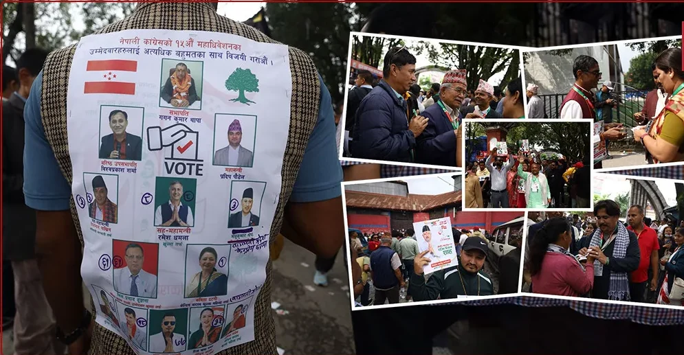 कांग्रेस महाधिवेशनस्थलमा उम्मेदवारदेखि कार्यकर्तासम्मको चुनावी प्रचार, यस्तो देखियो माहोल (फोटोफिचर)