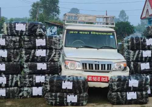 दुई वर्षमा २० टनभन्दा बढी गाँजा बरामद, हजारौँ व्यक्ति पक्राउ