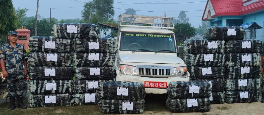 दुई वर्षमा २० टनभन्दा बढी गाँजा बरामद, हजारौँ व्यक्ति पक्राउ