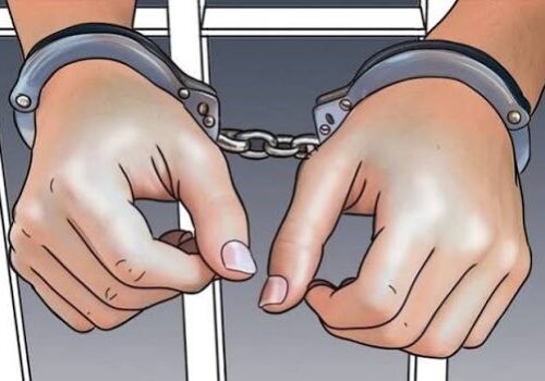 वीरगञ्जका चौरसिया दाजुभाइ पक्राउ, १९ वर्ष कैद सजाय कार्यान्वयन