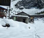 लिमीमा हिमपातले सडक अवरुद्ध, साढे तीन फिट हिउँमा बिरामी पर्दा हेलिकप्टरकै भर