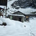 लिमीमा हिमपातले सडक अवरुद्ध, साढे तीन फिट हिउँमा बिरामी पर्दा हेलिकप्टरकै भर