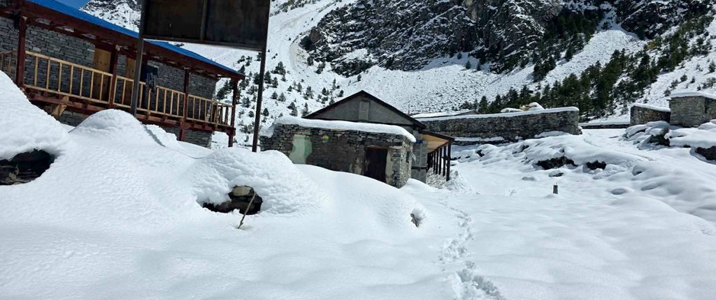 लिमीमा हिमपातले सडक अवरुद्ध, साढे तीन फिट हिउँमा बिरामी पर्दा हेलिकप्टरकै भर