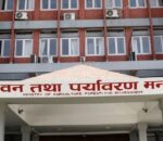 धान किसानलाई बजारको सुनिश्चितता, सरकारले १५ हजार मेट्रिक टन धान किन्ने